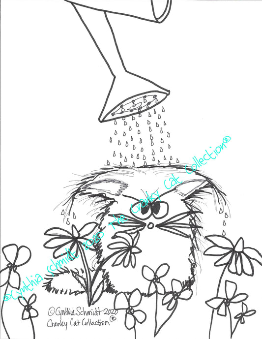 Just The Cats, Please. 5 Cranky Cats Coloring Sheets