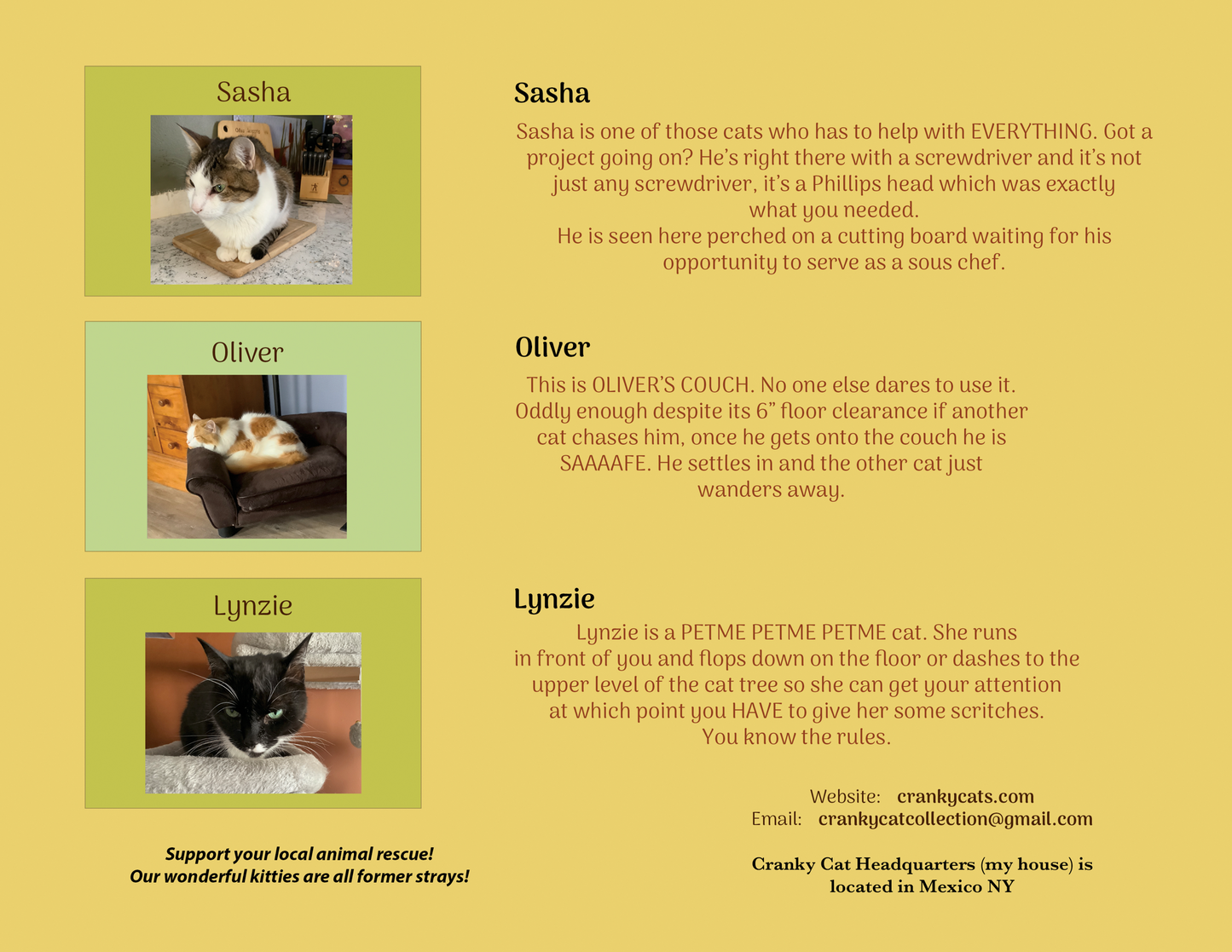 2026 Cranky Cats Calendar by Cindy Schmidt Cranky Cat Collection™