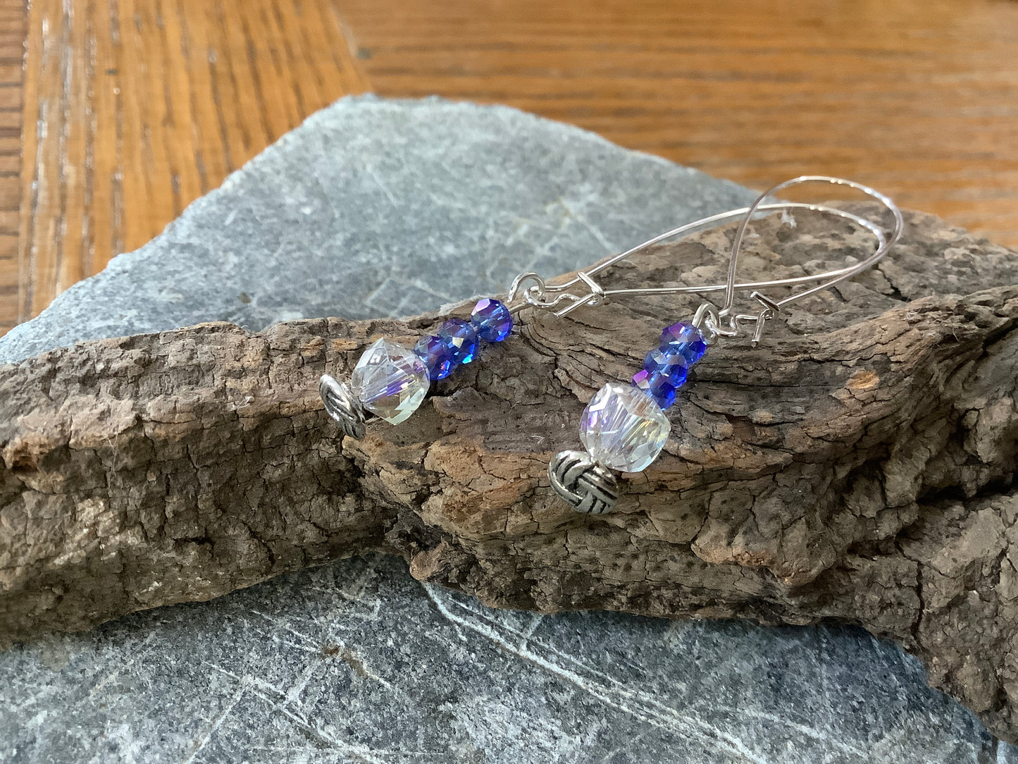 Long Sparkly Earrings
