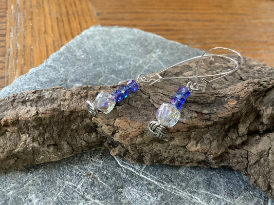 Long Sparkly Earrings